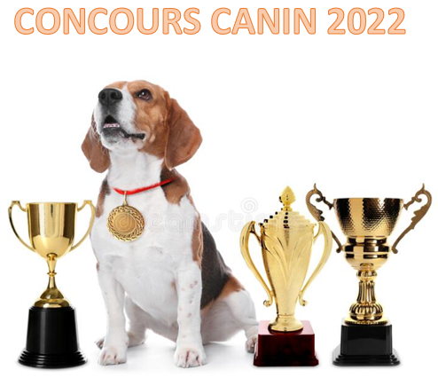 concours2022b.png